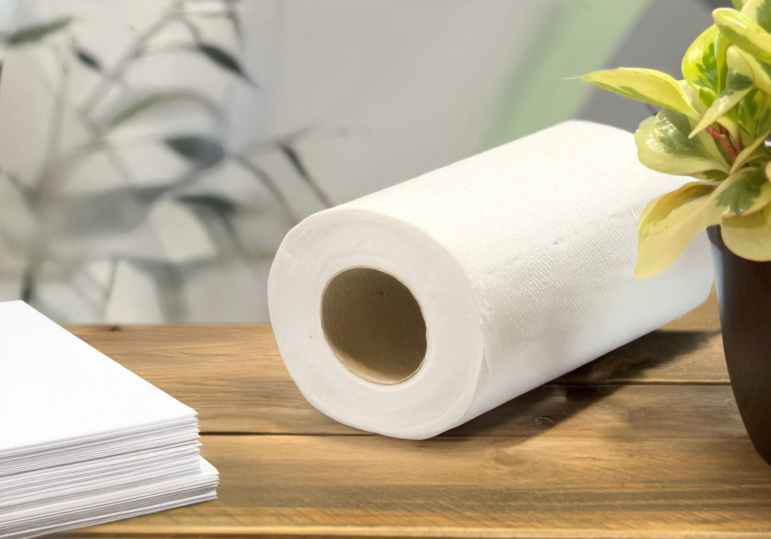 Paper for Paper toiletrol en papier kopie